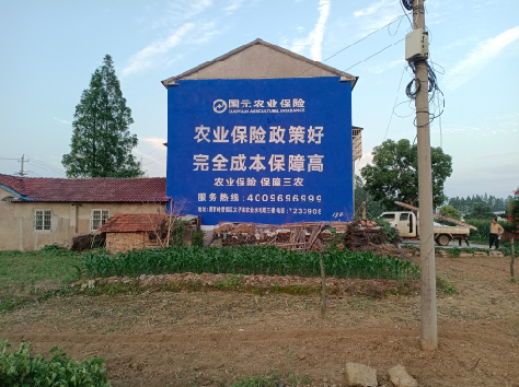 全椒墙体广告为何受追捧？